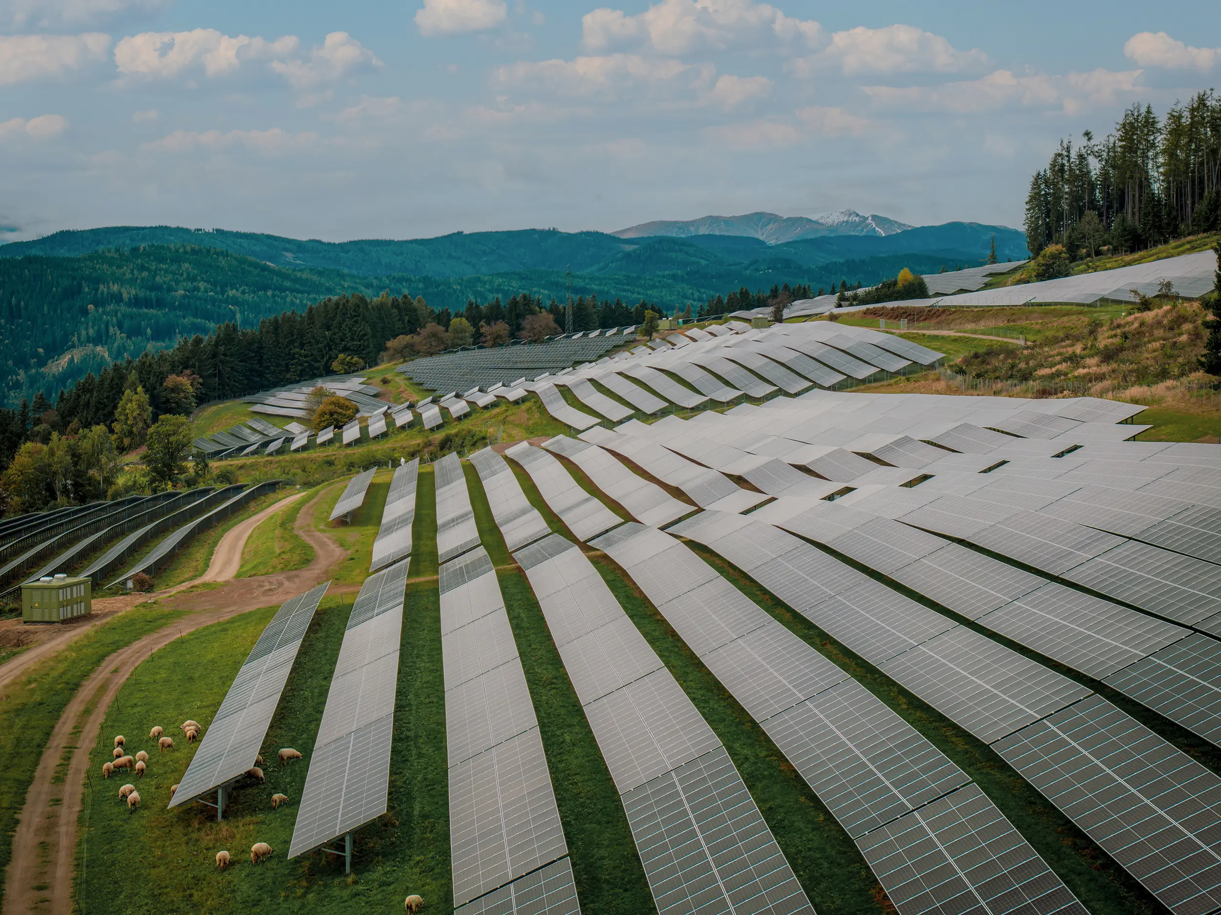 Zahlreiche Photovoltaik-Paneele aufgeständert auf einem Hang. Darunter weiden einige Schafe. Im Hintergrund bewaldetes Mittelgebirge.